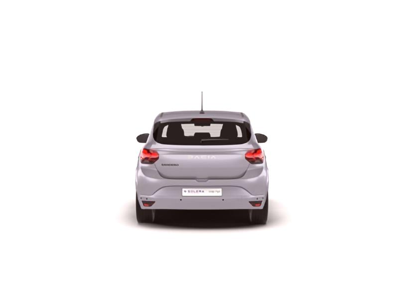 3911244 1.0 Tce Bi-Fuel Expression 5dr